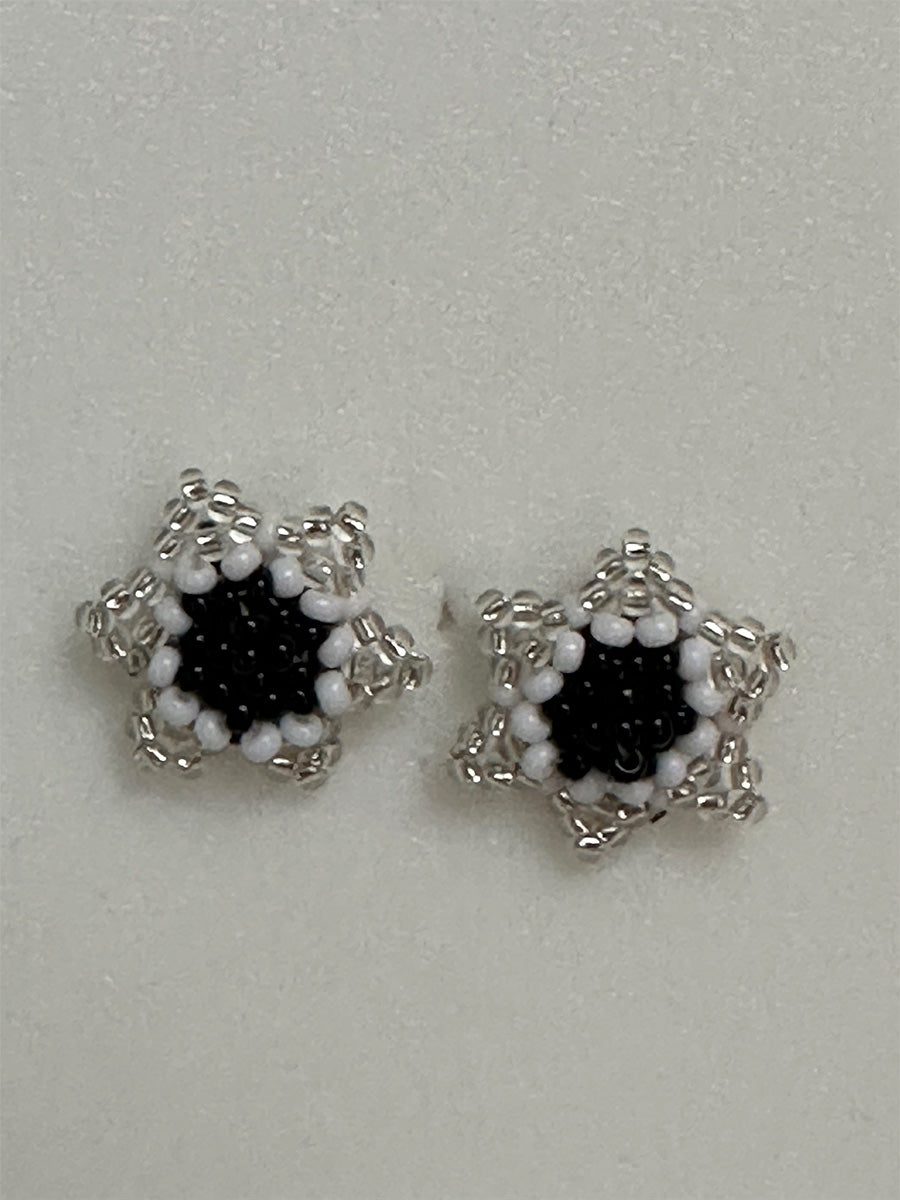 Plata Earrings
